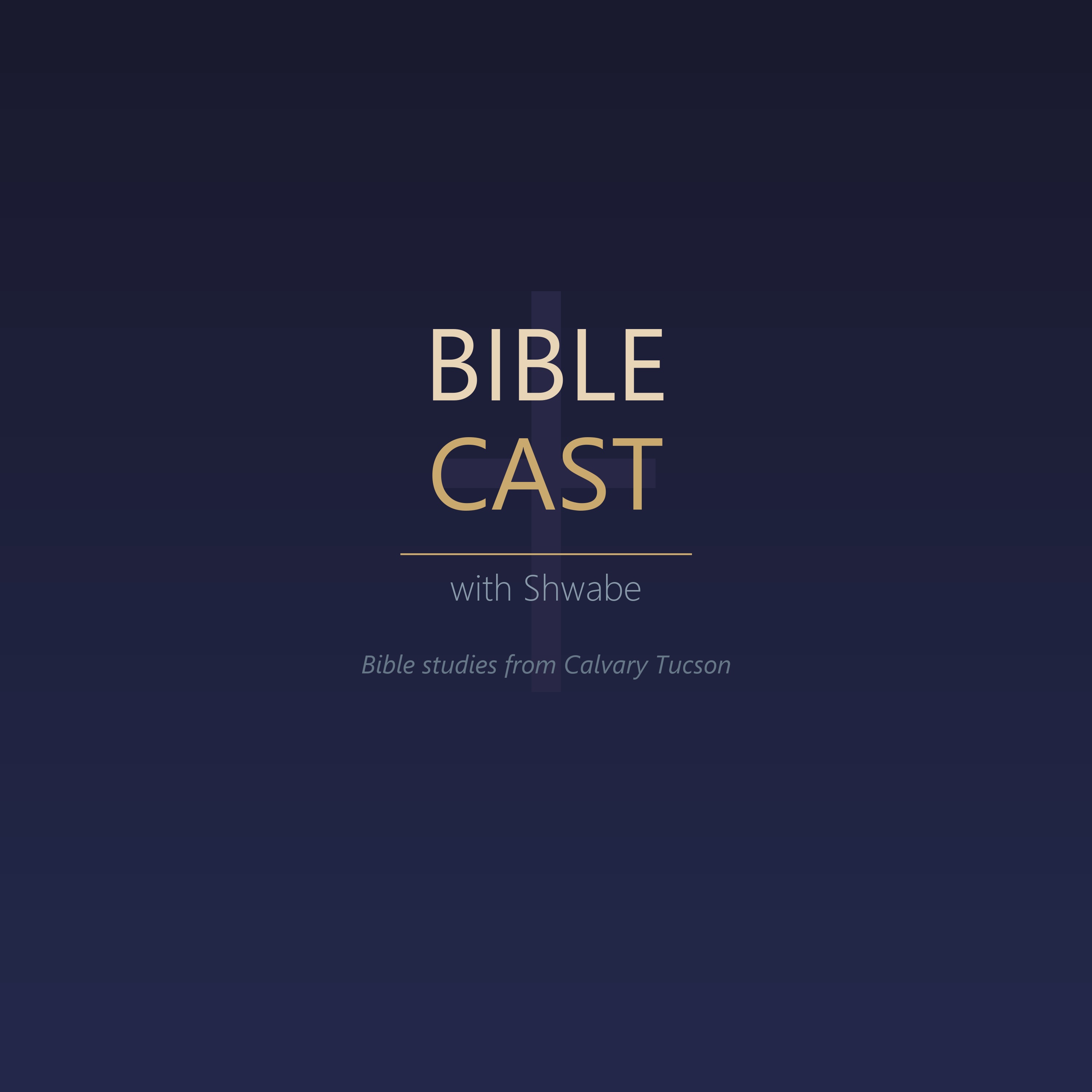 Shwabe's Biblecast cover art